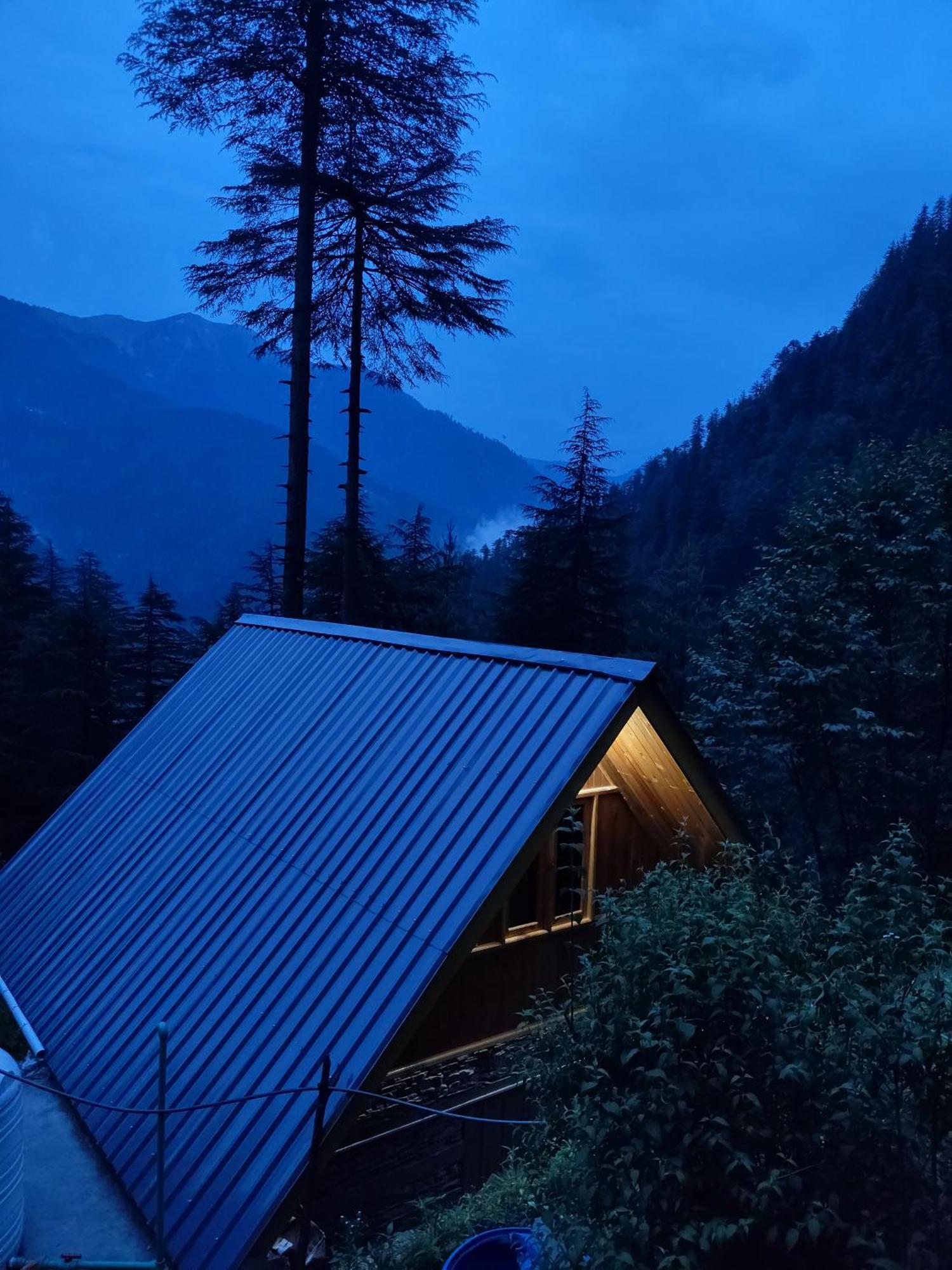 Forest View Cottage Jibhi المظهر الخارجي الصورة