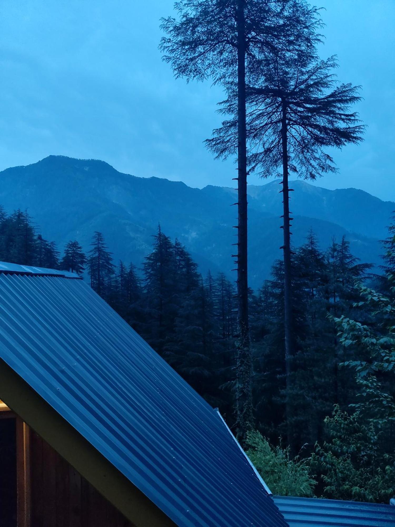 Forest View Cottage Jibhi المظهر الخارجي الصورة