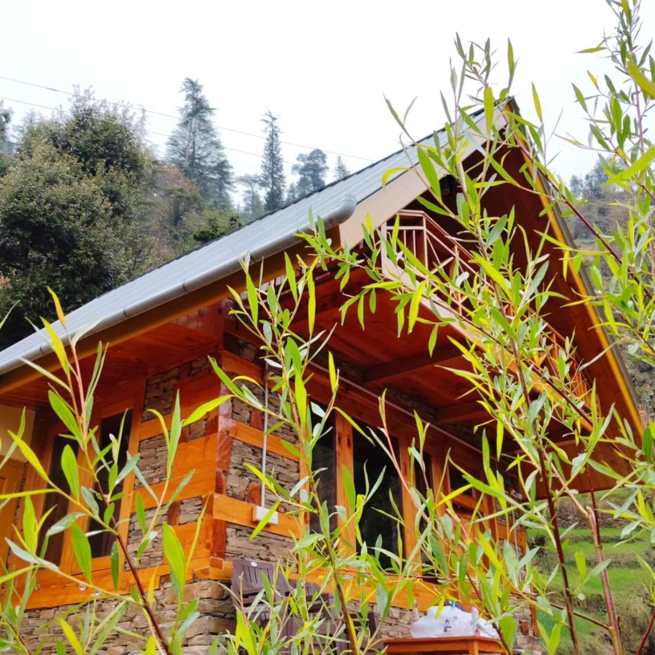 Forest View Cottage Jibhi المظهر الخارجي الصورة
