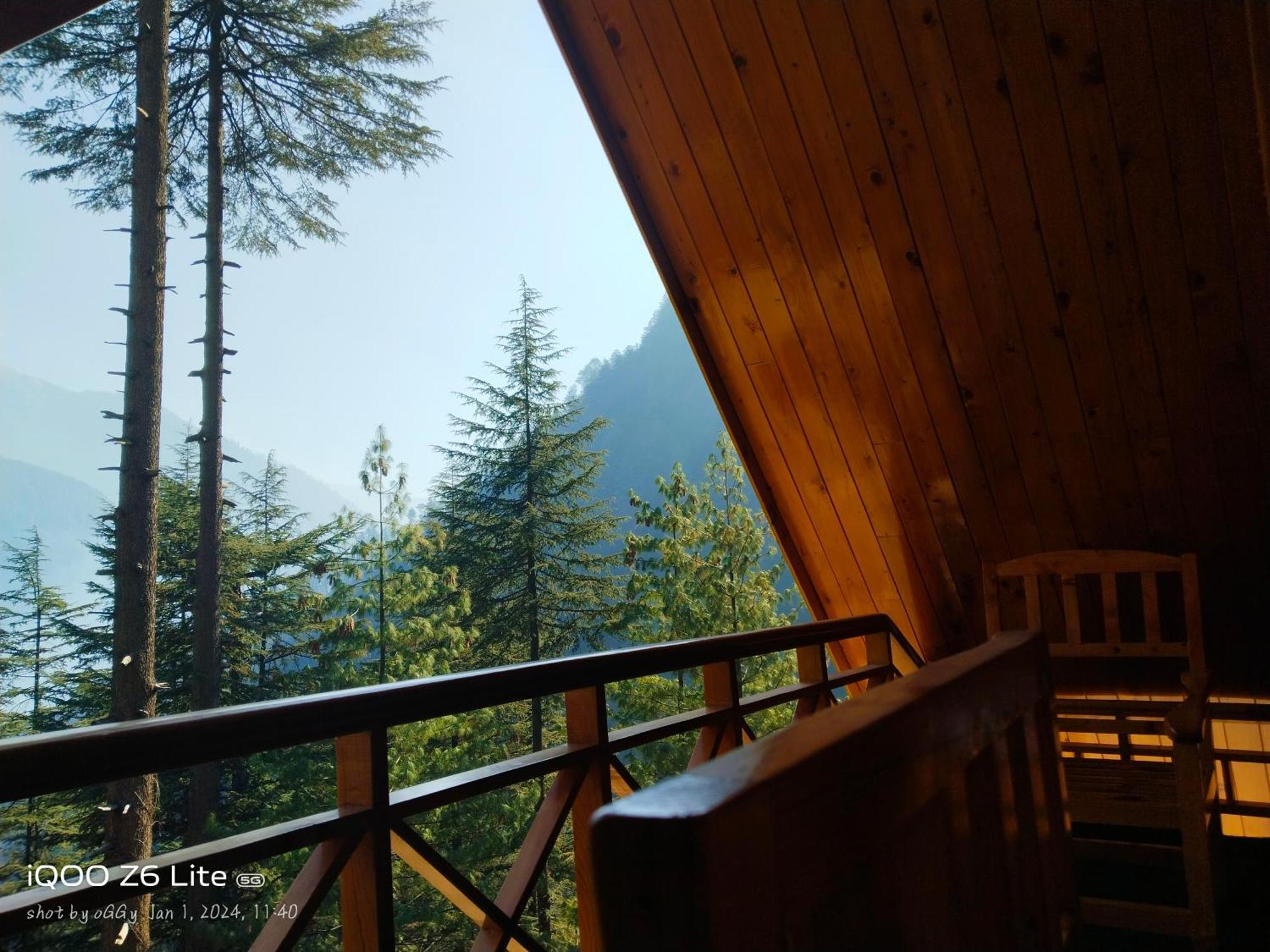 Forest View Cottage Jibhi المظهر الخارجي الصورة